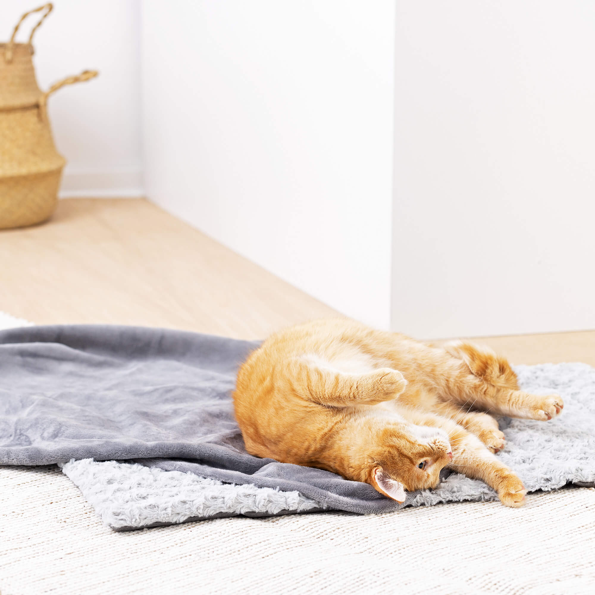Navaris Σετ Χαλάκι και Κουβέρτα για Σκύλους και Γάτες - 50 x 80 cm / 87 x 115 cm - Grey - 56631.19.2