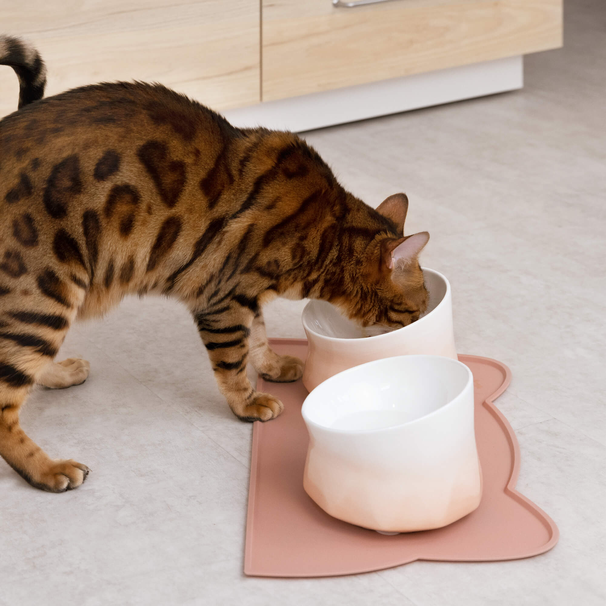 Navaris Σετ με 2 Μπολ Φαγητού και Νερού με Βάση Σιλικόνης για Κατοικίδια - 250 ml - Light Pink - 53300.60