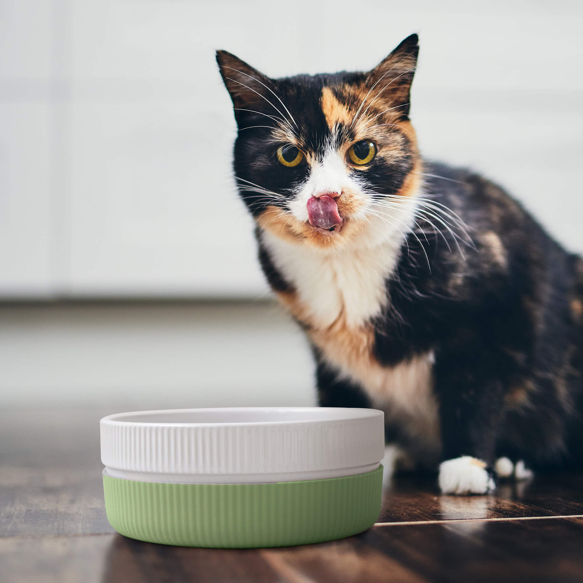 Navaris Σετ με 2 Κεραμικά Μπολ για Κατοικίδια 700ml - Green - 53411.08