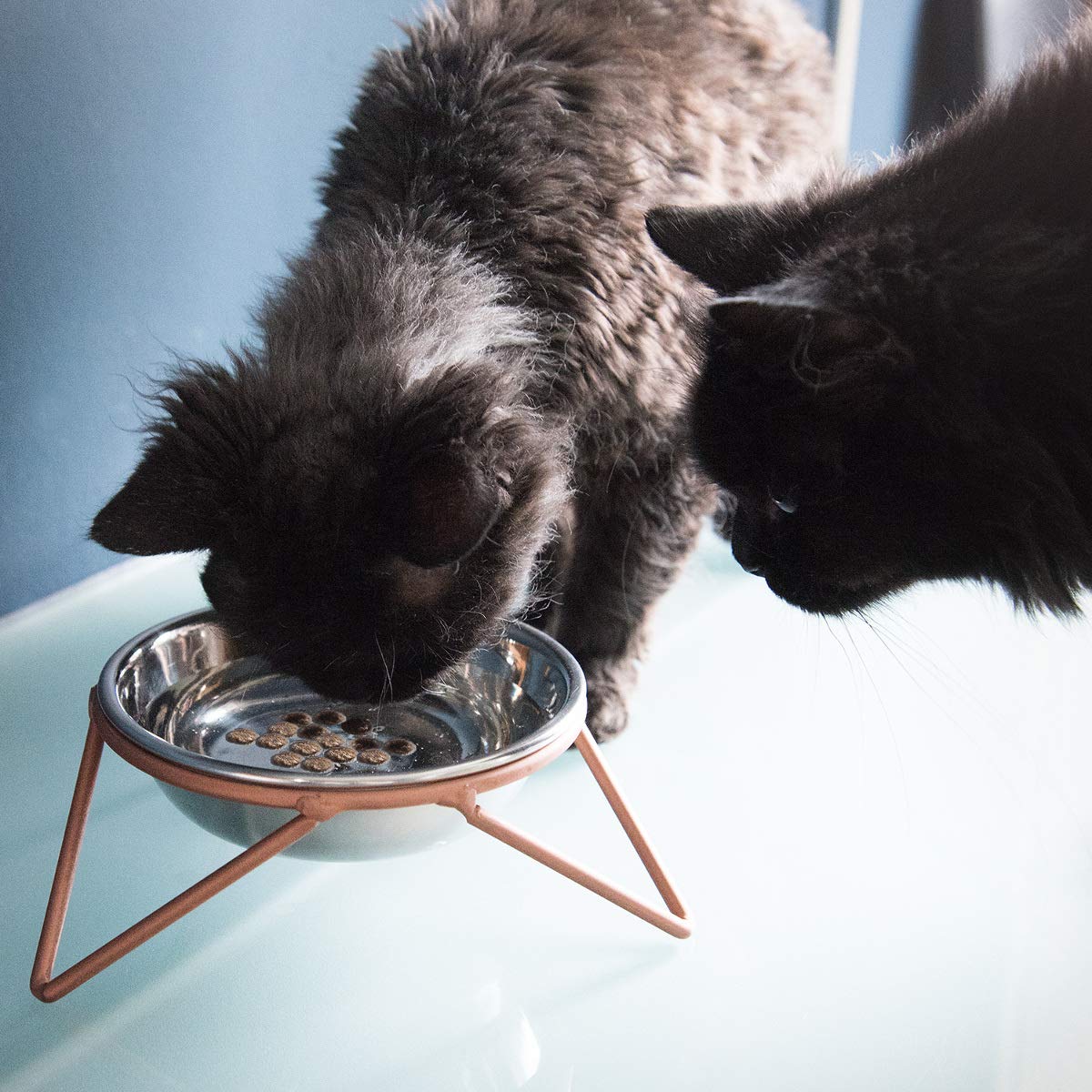 Navaris Stainless Steel Pet Bowls - Σετ με 2 Μπολ Φαγητού και Νερού με Βάση για Κατοικίδια - Silver / Copper - 46741.1.02