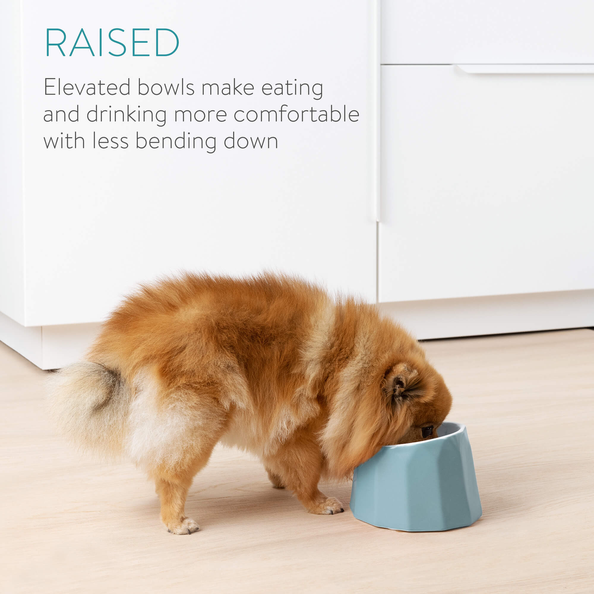 Navaris Κεραμικό Μπολ Φαγητού και Νερού για Κατοικίδια - 12 cm - Blue - 55230.04