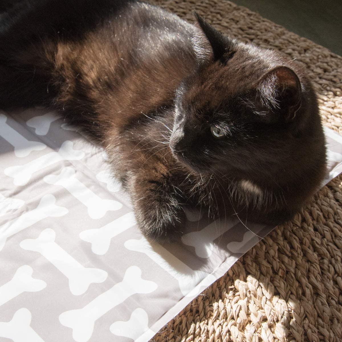 Navaris Pet Cooling Mat - Στρώμα Ψύξης για Κατοικίδια - 90 x 50 cm - Design Bone - 51240.2