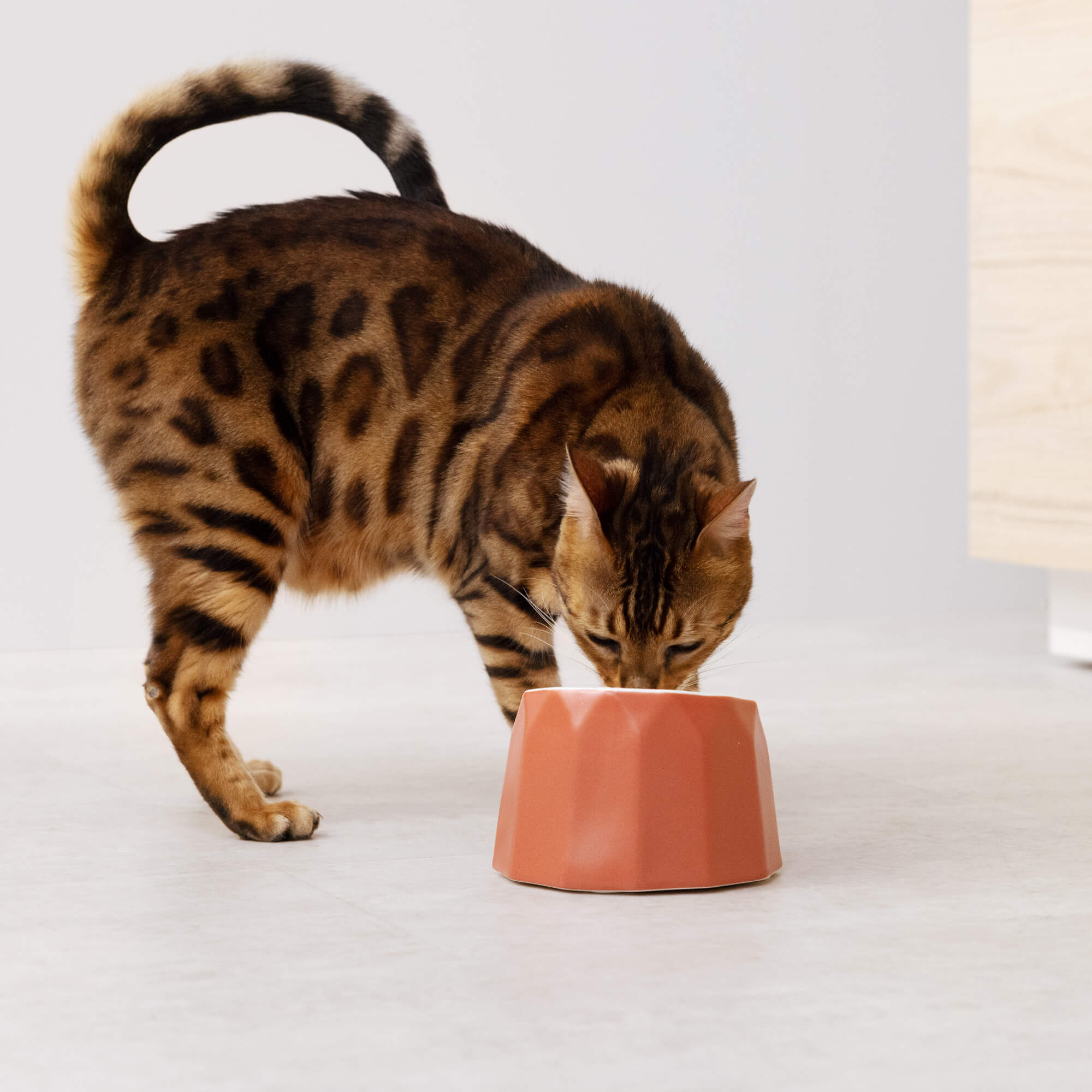 Navaris Κεραμικό Μπολ Φαγητού και Νερού για Κατοικίδια - Pink - 55230.08