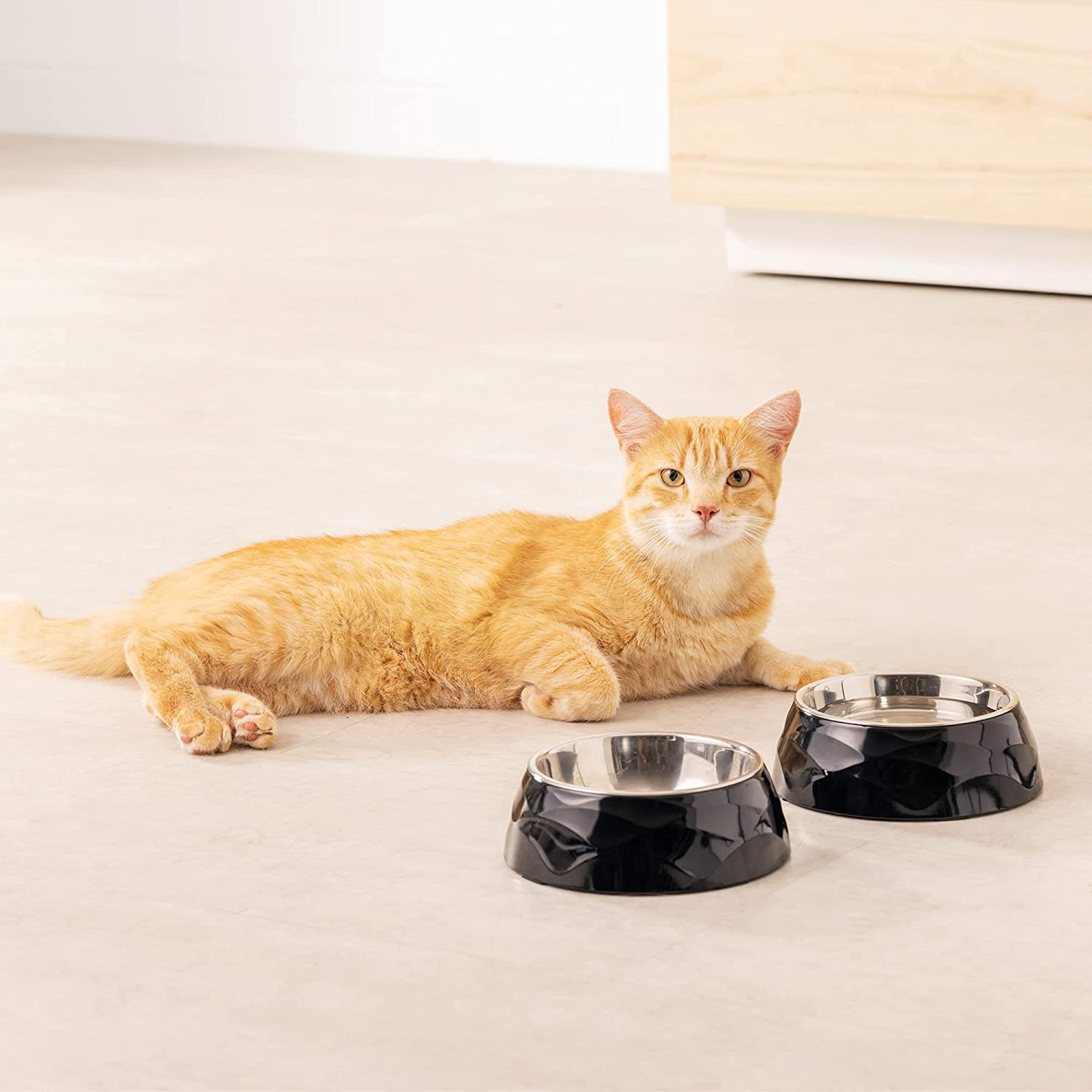 Navaris Σετ με 2 Ανοξείδωτα Αντιολισθητικά Μπολ Φαγητού και Νερού για Κατοικίδια - 350 ml - ‎Black / Silver - 57479.01