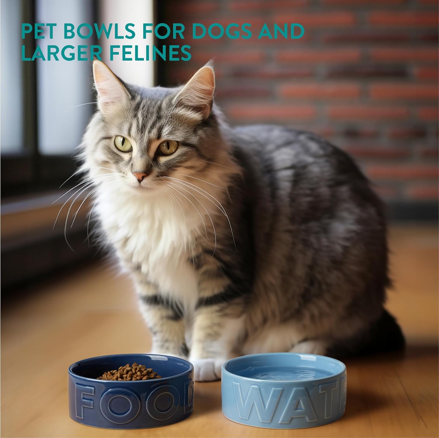 Navaris Σετ με 2 Κεραμικά Μπολ Φαγητού και Νερού για Κατοικίδια - 700ml - Light Blue / Dark Blue - NAV000025VC001C