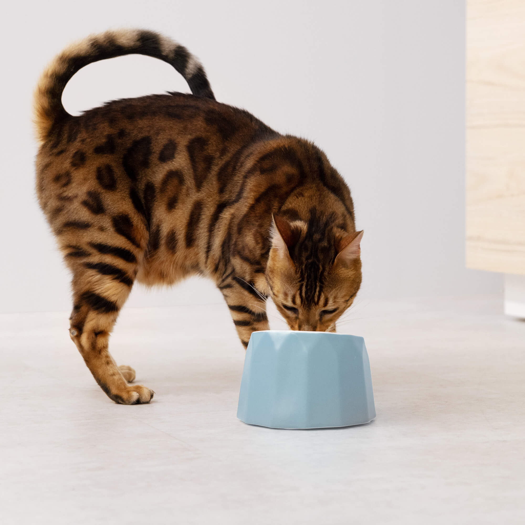 Navaris Κεραμικό Μπολ Φαγητού και Νερού για Κατοικίδια - 12 cm - Blue - 55230.04