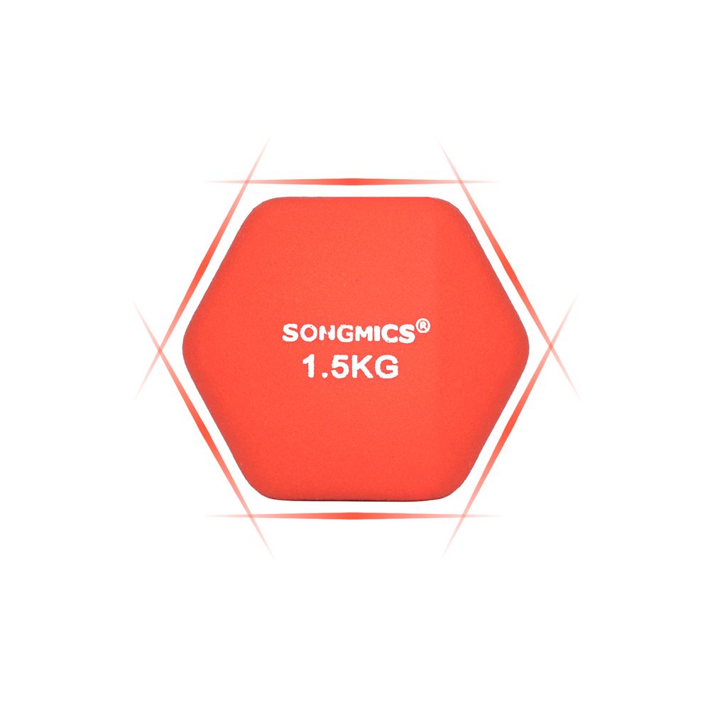 Songmics Σετ με 2 Βαράκια - 1,5 kg - Orange - SYL63OG