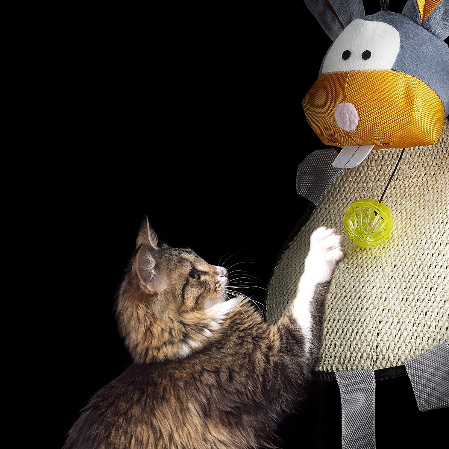 Relaxdays Ονυχοδρόμιο με Μπαλάκι για Γάτες - 55 x 22 x 10 cm - Colorful - 4052025239398