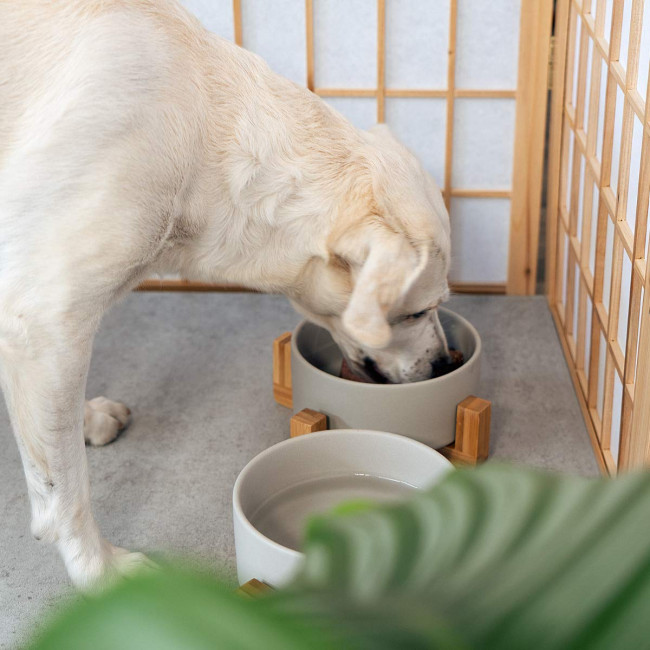 Navaris Cat Bowls with Wood Stands - Σετ με 2 Μπολ Φαγητού και Νερού με Βάση από Μπαμπού για Κατοικίδια - Grey / Brown - 48350.22