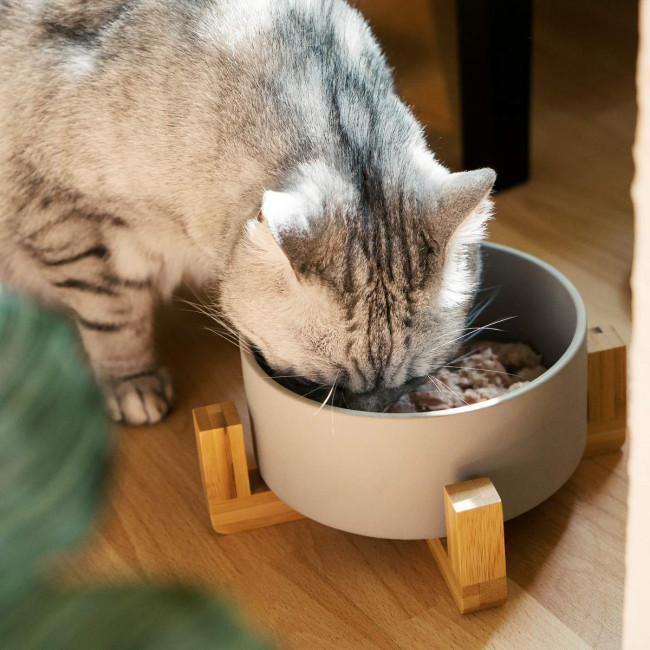 Navaris Cat Bowls with Wood Stands - Σετ με 2 Μπολ Φαγητού και Νερού με Βάση από Μπαμπού για Κατοικίδια - Grey / Brown - 48350.22