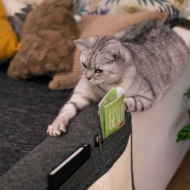 Navaris Cat Scratch Armrest Organiser Προστατευτικό Καναπέ από Γρατζουνιές Γάτας - 130 x 45 cm - Dark Grey - White - 48412.19.02