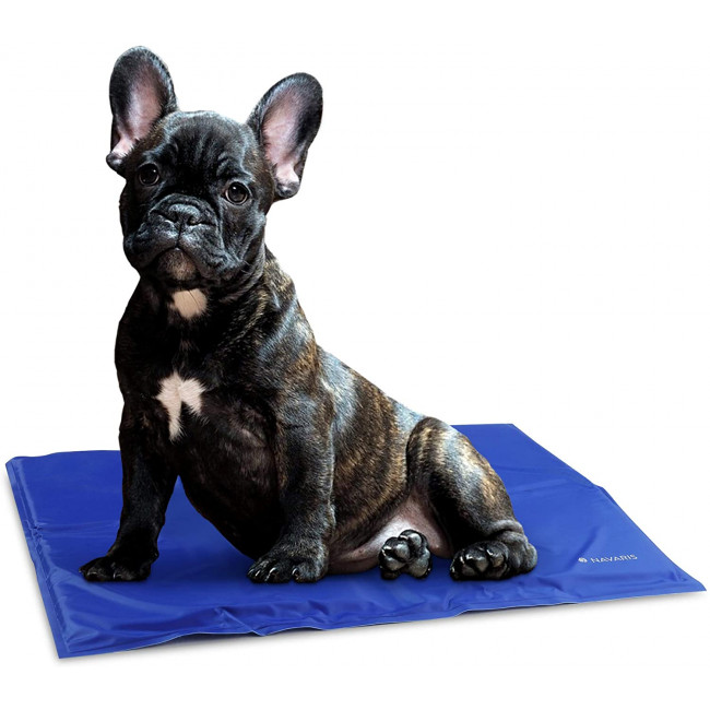 Navaris Pet Cooling Mat - Στρώμα Ψύξης για Κατοικίδια - 40 x 50 cm - Blue - 44251